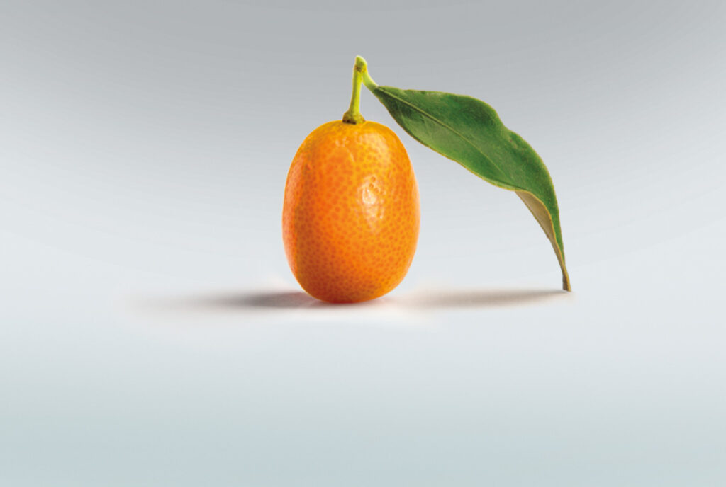 a perfect kumquat